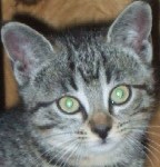 Avatar de l’utilisateur