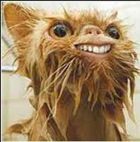 Avatar de l’utilisateur